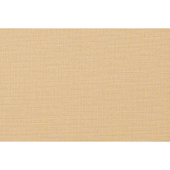 Рулонные жалюзи Декор 57*160/175 цвет персик