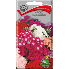 Семена Цветы Флокс Друммонда Красивый гном (207985)