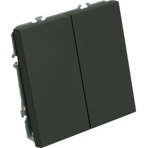 Переключатель 2-кл ЭМИЛИ черный RSW10-5107-05