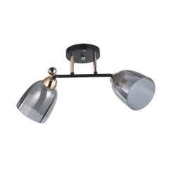 Светильник ЭкономСвет 12229/2BK+FGD GR