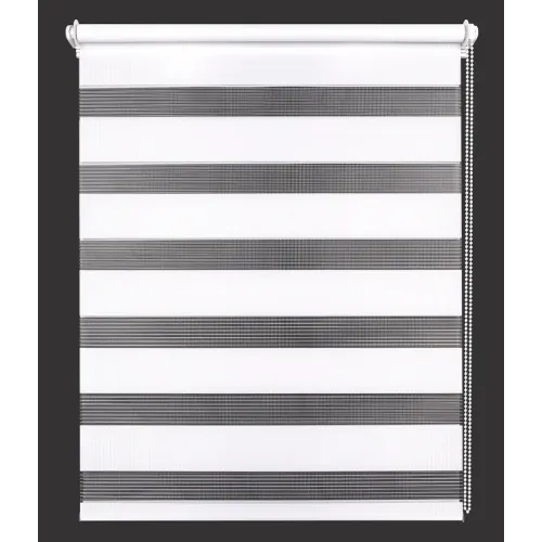 Рулонные жалюзи День-Ночь easy fix 66*160 белый