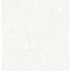 Обои Саратовские Ивушка фон 790-04 дуплексные С6 0,53*10 (12)