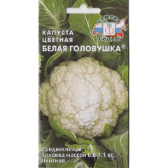 Семена Капуста цветная Белая головушка (440565)