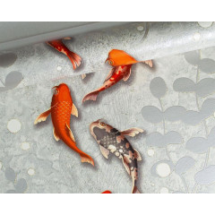 /Обои Саратовские Фишка 126-06 супермойка 0,53*10 (9) РАСПРОДАЖА!!