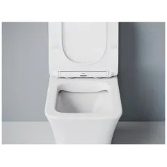 Унитаз-монолит EVA GOLD SM9615 сиденье ДП, безободковый, с гофрой и гибкой подводкой