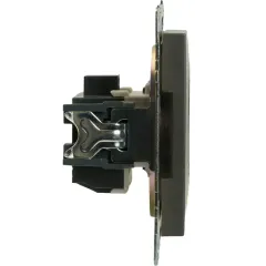 Розетка 2P Катрин графит с защитной шторкой GLS10-7109-06