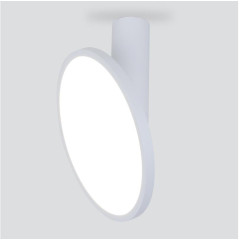 Светильник накладной ES DLS029 12W 4200K белый/матовый