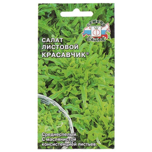 Семена Салат Красавчик (105076)
