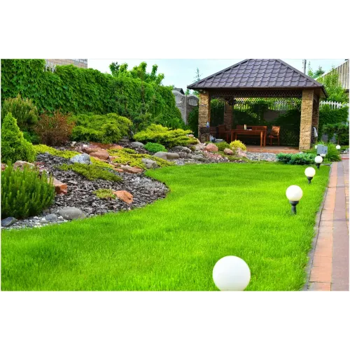 Семена газона ГазонCity Настоящий универсальный 1кг (309379)