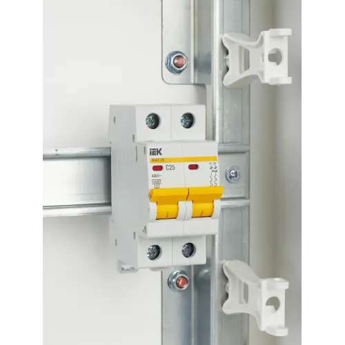 Выключатель автоматический 2-пол. 25A C 4,5кА ВА47-29 IEK MVA20-2-025-C (51012)