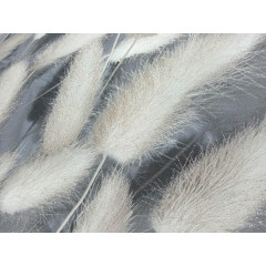 Обои 108219 Fox Степь винил на флизелиновой основе 1,06*10 (6)