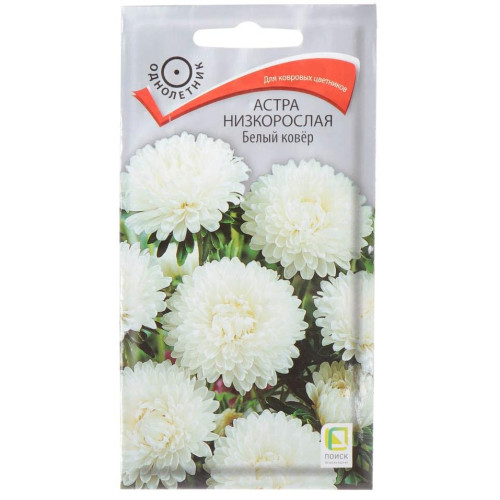 Семена Цветы Астра Белый ковер Поиск(306117)