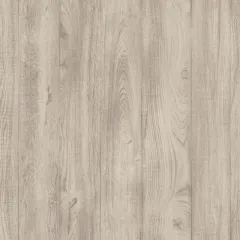 Линолеум PHILOSOPHY Coen 1 (2,5 м) (62,5)