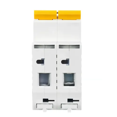 Выключатель автоматический 2-пол. 25A C 4,5кА ВА47-29 IEK MVA20-2-025-C (51012)