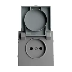 Розетка 2P ЭМИЛИ защ.шторки с крышкой платиново-сер RST16-5113-10