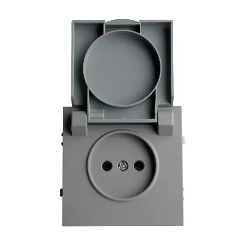Розетка 2P ЭМИЛИ защ.шторки с крышкой платиново-сер RST16-5113-10