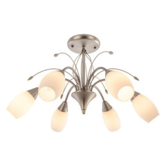 Светильник ЭкономСвет 12121/6SN MK