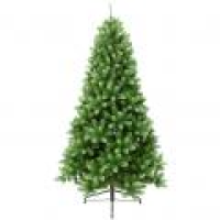 Ели напольные