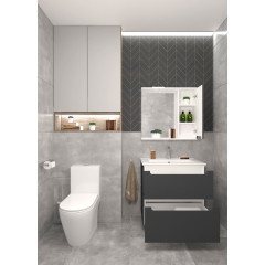 Шкаф с зеркалом EVA GOLD 75 