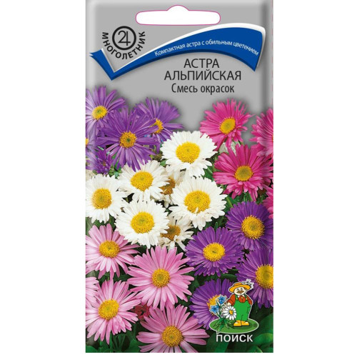 Семена Цветы Астра Альпийская (227662)