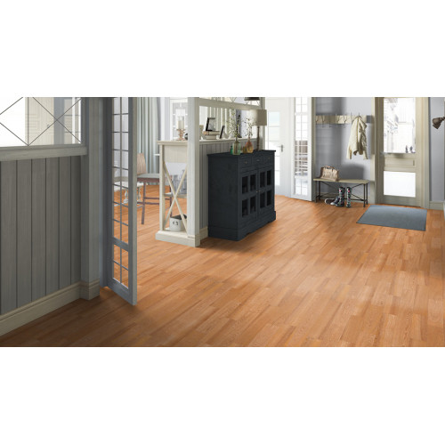 /Линолеум Discovery California 1 (4м) (80)