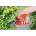 Секатор STARTUL GARDEN плоскостной (ST6410-03)