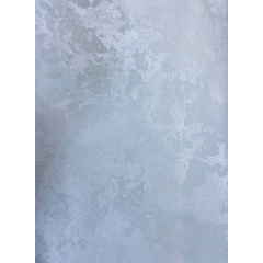 Обои Гомель Дели-21 винил на флизелиновой основе 1,06*10м (6)