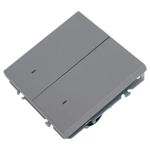 Выключатель 2-кл ЭМИЛИ с подсветкой платиново-серый RSW10-5102-10