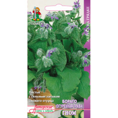 Семена Бараго (Огуречная трава) (207639)