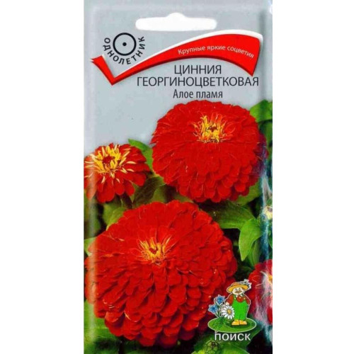 Семена Цветы Цинния георгиноцветковая Алое пламя Поиск (358493)