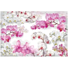 Фотообои Тула серия VIP Бал орхидей 16листов (6)