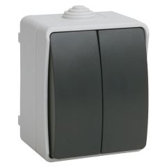 Выключатель О/У 2-кл IEK IP54 серый Форс EVS20-K03-10-54-DC (199658)