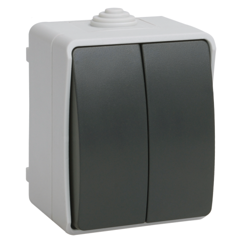 Выключатель О/У 2-кл IEK IP54 серый Форс EVS20-K03-10-54-DC (199658)