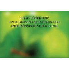 Фотообои Тула серия VIP Яблоко 4листа (6)