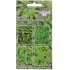 Семена Мята Лекарственная (256332)