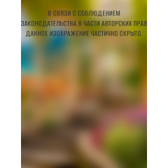 Фотообои Тула серия Эконом Город на побережье  (8л)