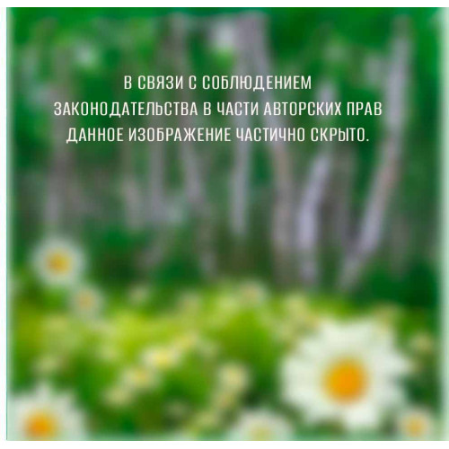 Фотообои Тула серия Эконом Ромашковая поляна (6)