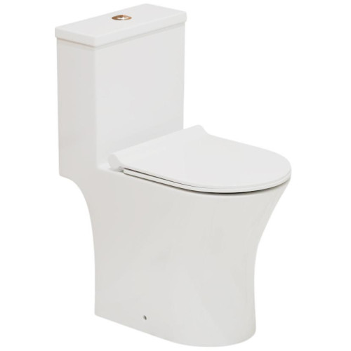 Унитаз-монолит EVA GOLD TR1197 тонкое сиденье ДП, безободковый с гофрой и гибкой подводкой