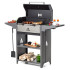 Мангал GRATAR Family Optima BBQ FOB2000
