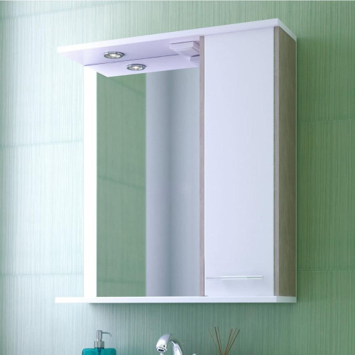 Шкаф с зеркалом EVA GOLD 65 