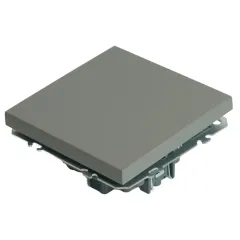 Выключатель 1-кл ЭМИЛИ платиново-серый RSW10-5103-10