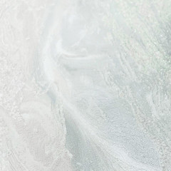 Обои 60486-04 Эрисманн винил на флизелиновой основе 1,06*10 (6)