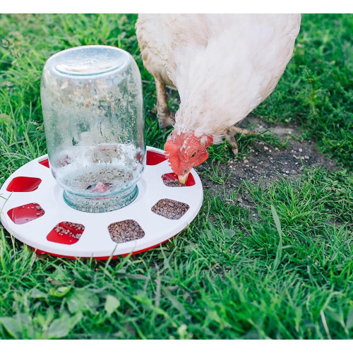 Поилка для домашней птицы под банку и бутылку, d = 220 мм (3593424)