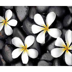 Шторка для ванной Фотопринт Цветы 180x200см, Z-003 без колец (553276)