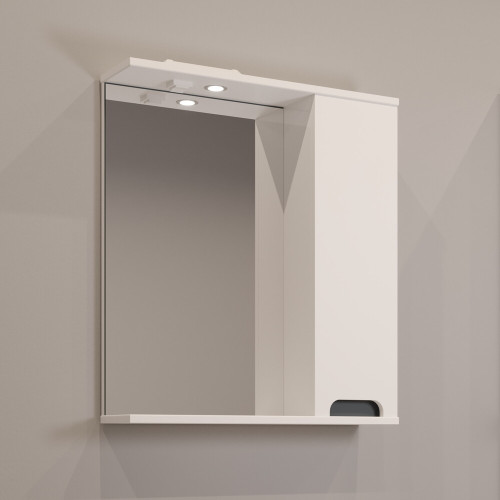 Шкаф с зеркалом EVA GOLD 60 