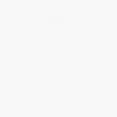 Обои 1658-11 Гомель Мулине фон винил на флизелиновой основе 1,06*10м (9)