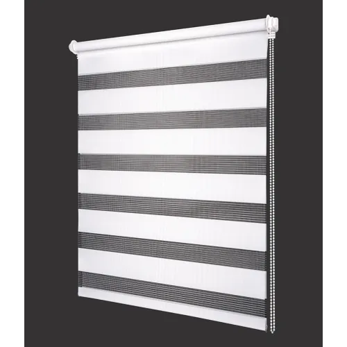 Рулонные жалюзи День-Ночь easy fix 47*160 белый