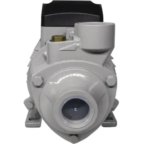 Насос поверхностный РЕСАНТА ПСН-3300Ч (77/4/3) (*12)