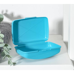 Мыльница дорожная IDEA 10х6,8х4,4 см, цвет МИКС М2219 (1155557)