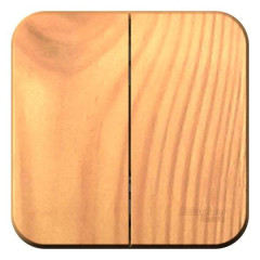 Выключатель О/У 2-кл BLANCA 10А   изол. пласт. ясень SchE BLNVA105015